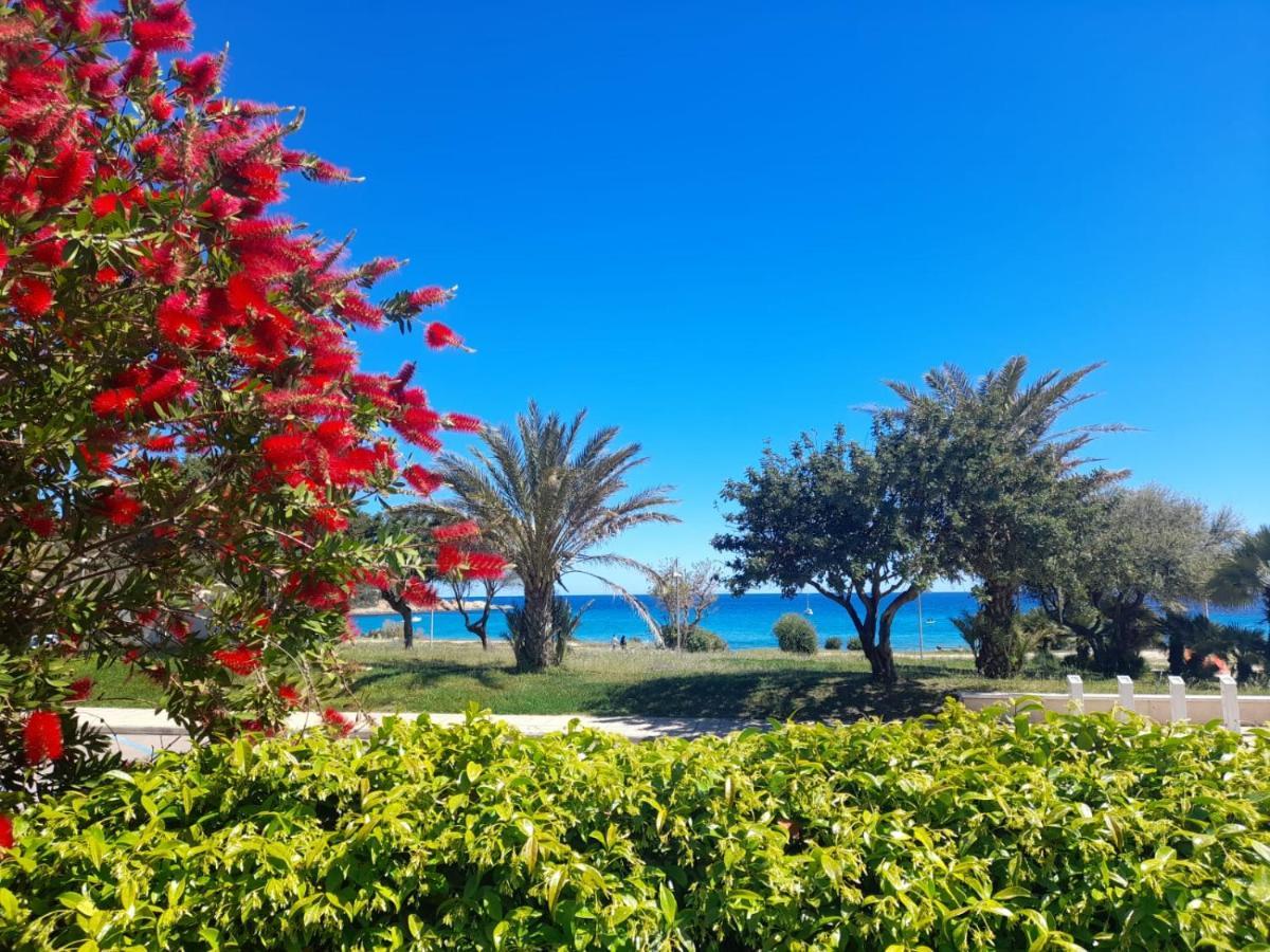 Villa Stella Fronte Mare Porto Frailis Àrbatax Εξωτερικό φωτογραφία
