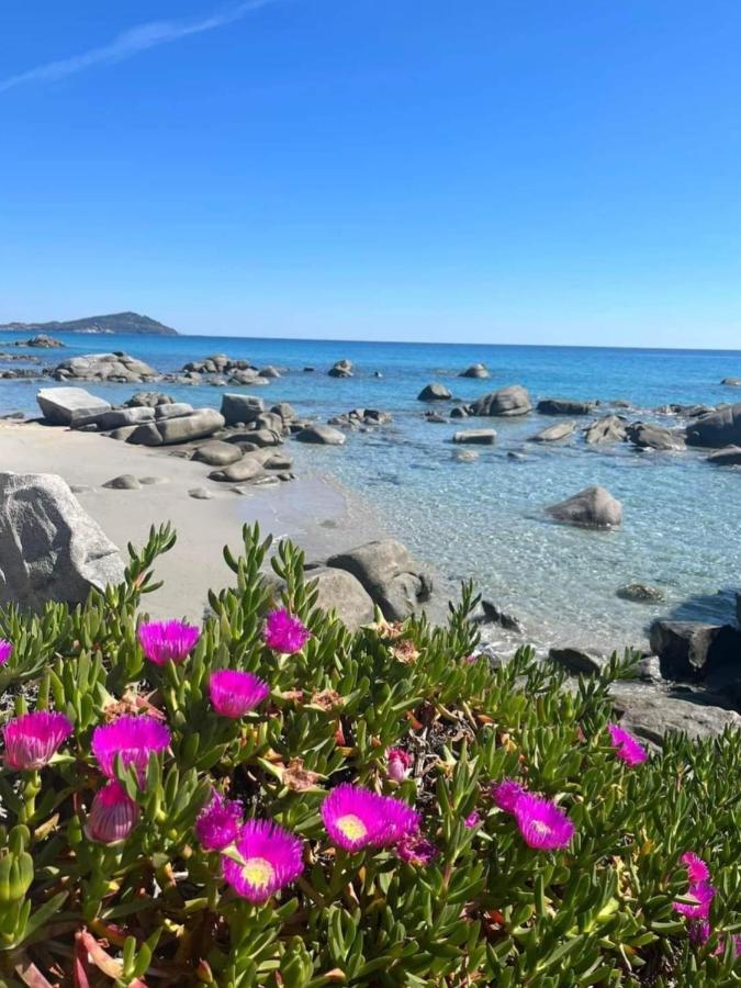 Villa Stella Fronte Mare Porto Frailis Àrbatax Εξωτερικό φωτογραφία