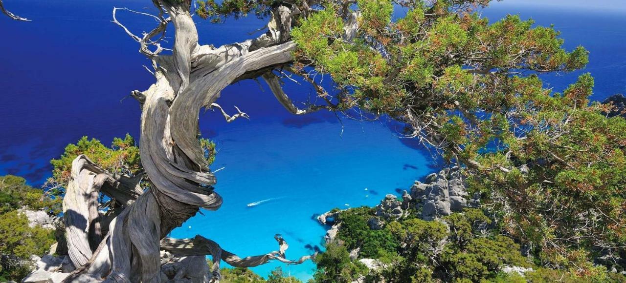 Villa Stella Fronte Mare Porto Frailis Àrbatax Εξωτερικό φωτογραφία